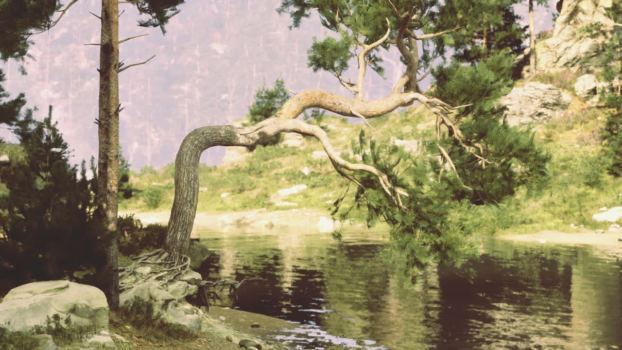 Unique curved tree by tranquil river in a serene forest setting