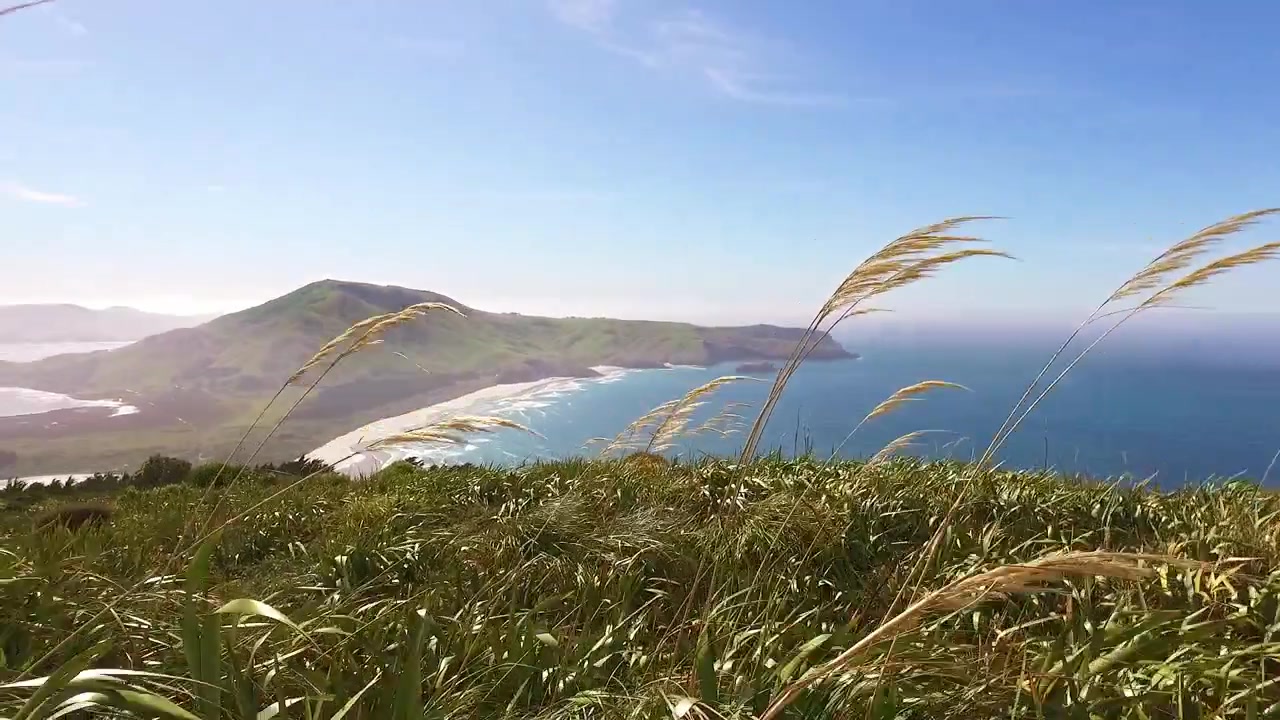 Vista da Sandy Mount sulla penisola di Otago, Nuova Zelanda