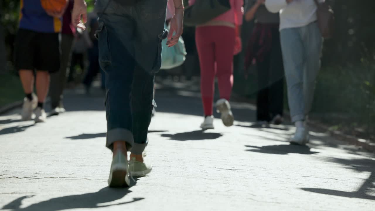 Adulti di diverse etnie camminano lungo un sentiero alberato e illuminato dal sole, la luce del sole che mette in risalto due donne con una borsa di tela.