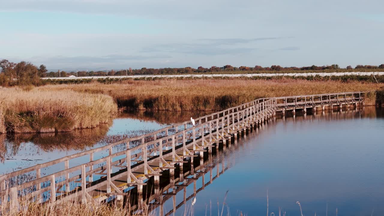 belleza rústica de la madera que mejora la conexión entre el agua y la vegetación