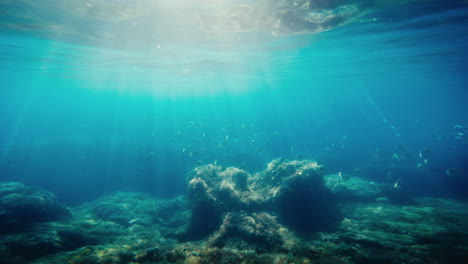 underwater on the mediterranean sea