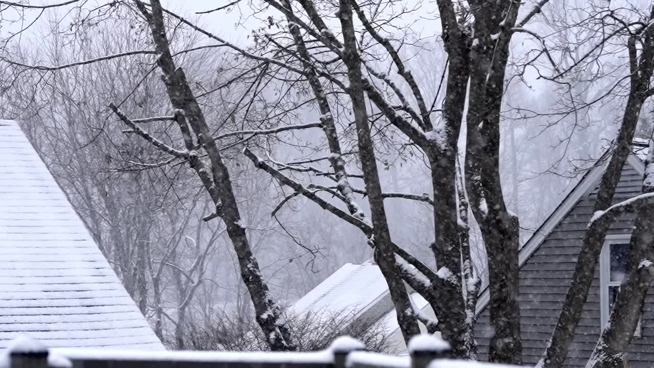 Slow motion snowfall on trees in a winter wonderland neighborhood of a suburban area, snowflakes, static shot, roofs of houses around