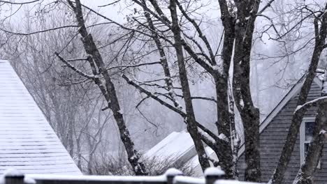 slow motion snowfall on trees in a winter wonderland neighborhood of a suburban area, snowflakes, static shot, roofs of houses around