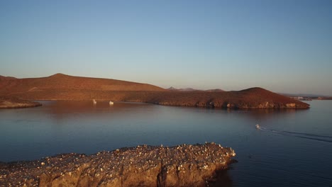 Aerial-shot-a-boat-arriving-to-a-calm-bay-at-sunset,-Sea-of-Cortez,-Baja-California-Sur