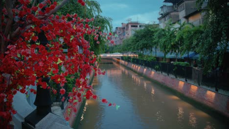 flores rojas vibrantes con vistas al canal de bangkok al anochecer