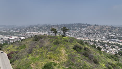 elysian park in los angeles, location of the secret swing