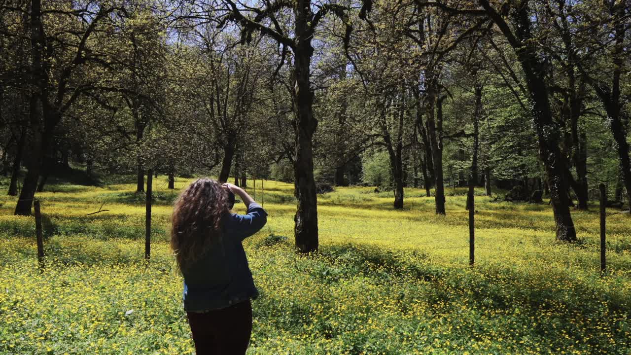 mujer tomando una foto en un campo de flores y árboles amarillos