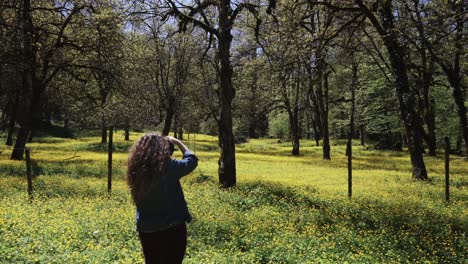 woman taking photo in a field of yellow flowers and trees