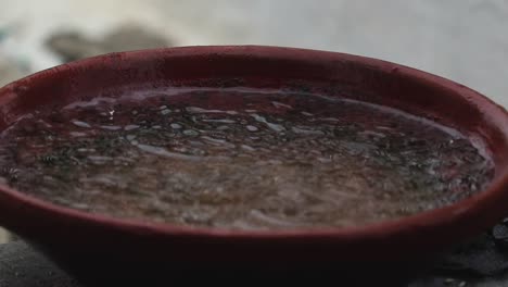 rain drops are filling the birds bowls for drinking