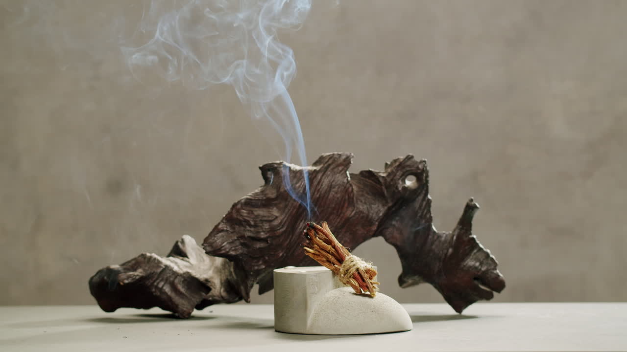 Person holding Palo Santo wood stick in hand, aromatic Palo Santo burning on black background, smoke spreading around, slow motion video clip, high quality 4k close up footage. High quality 4k footage