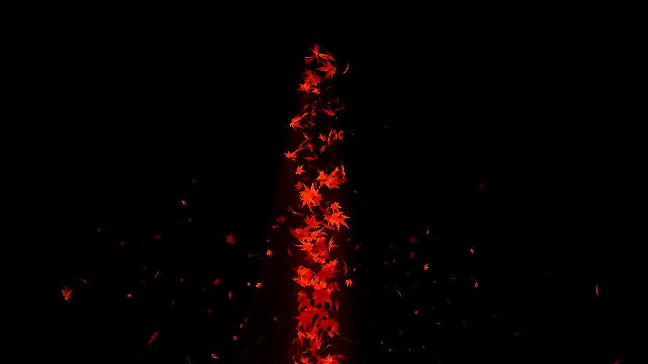 다채로운 메이플과 잎에서 나온 소용돌이, 가을 잎의 나선형 반이는 입자, 춤추는 잎, 다채로운 자연 터널 루프 애니메이션.