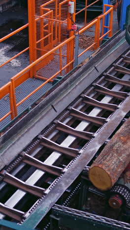 power-saw bench. wooden log is moving on a conveyor line on a sawmill. process of machining logs in the sawmill machine on industrial plant. vertical video