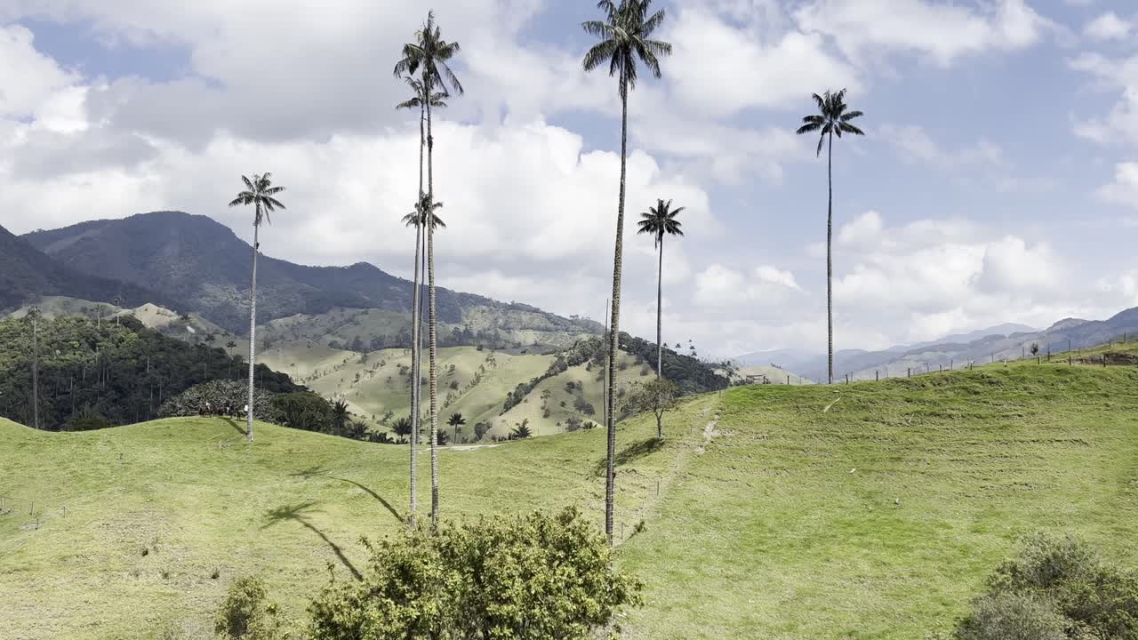 Tourists riding along a mountain ridge with wax palms in the green Valle de la Samaria near the town of Salamina in the Caldas department of the Coffee Axis in Colombia