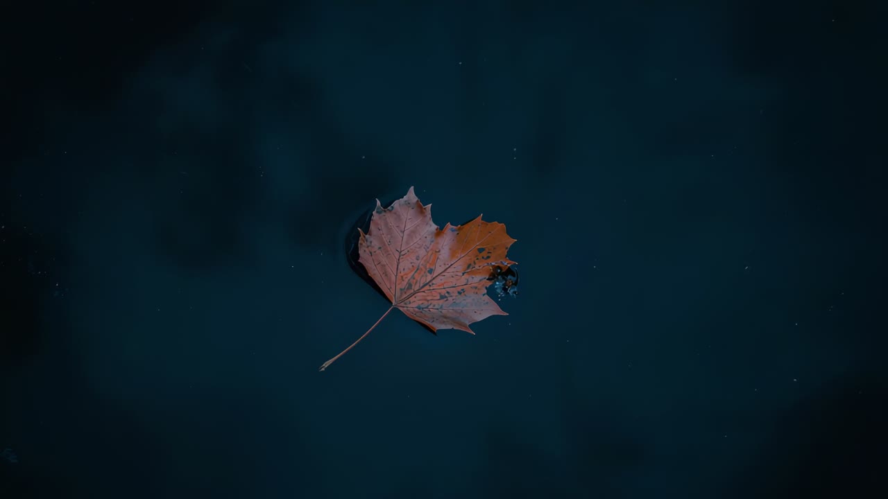 Kelluva ruskea vaahteranlehti, jonka varsi ja vaurioitunut reuna näkyvät, ajelehtii sinisessä vedessä pintavirran mukana.