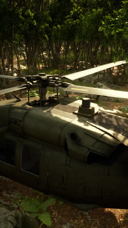 black hawk helicopter landing in a forest