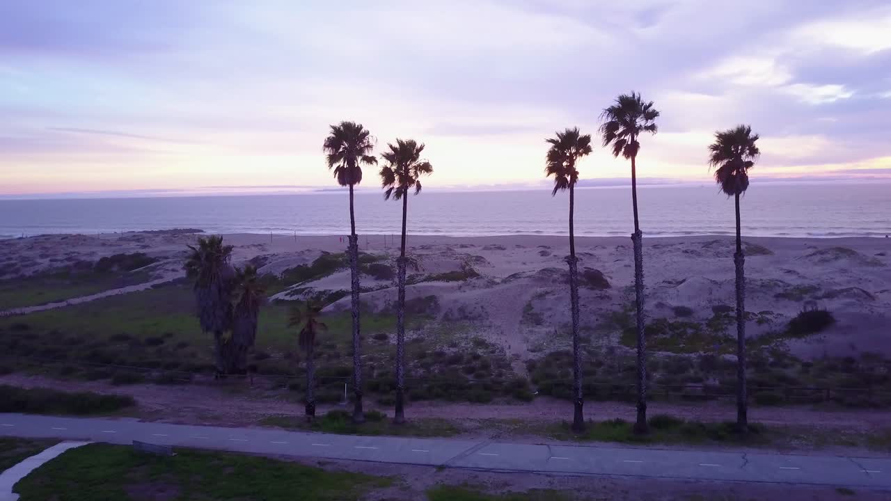 Mooie luchtopname door palmbomen onthult een Californische strandscène 1