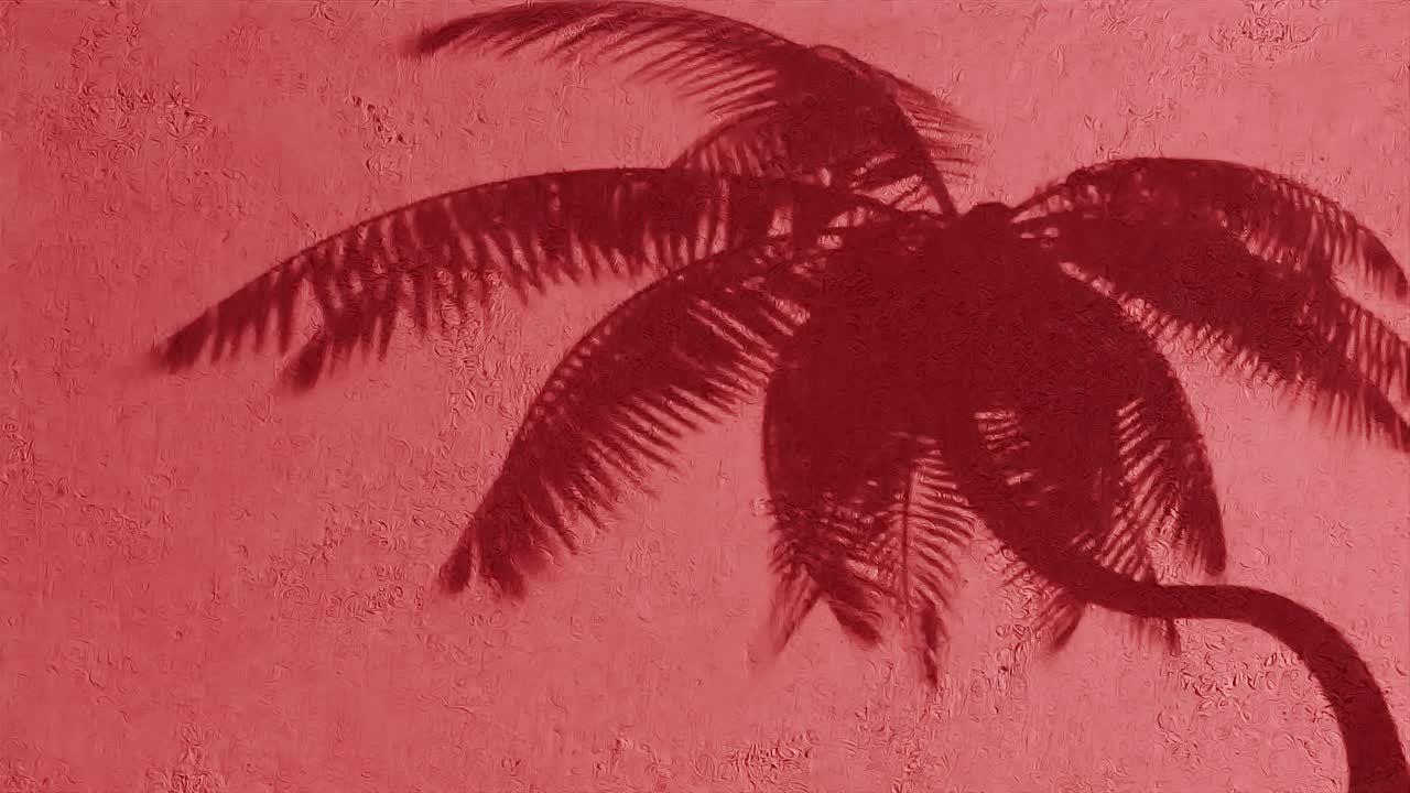 sombra de palma en la pared roja texturizada