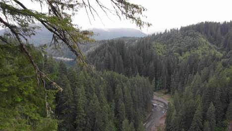 proximity aerial over misty lewis river and thick green forest below