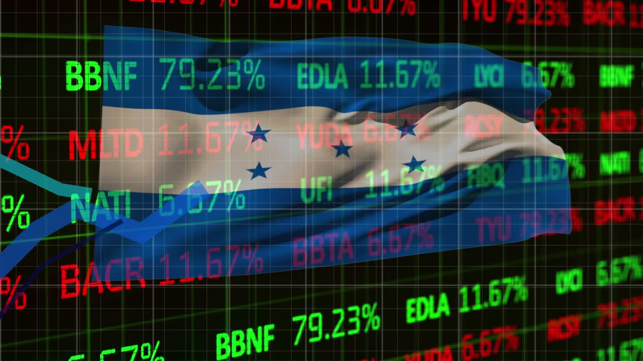 검은 바탕에 온두라스의  ⁇ 발 위에 데이터 처리 및 그래프의 애니메이션