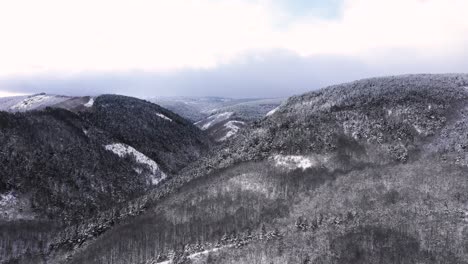 bare trees growing in hilly valley under clouds