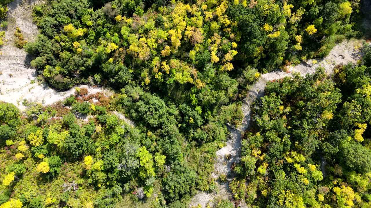Drone footage capturing a mix of dense green and yellow trees with exposed rocky terrain below. A natural landscape blending foliage with rugged textures, ideal for environmental and travel themes