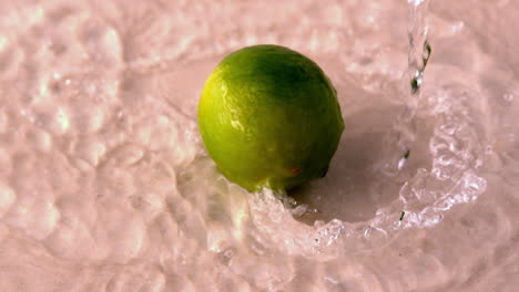 Lime-spinning-on-wet-white-surface