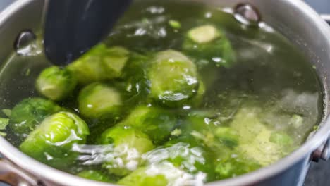 Fresh-green-Brussel-Sprouts-Close-up.