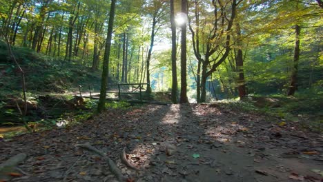 hiking down a wooded trail to a small bridge crossing a creek