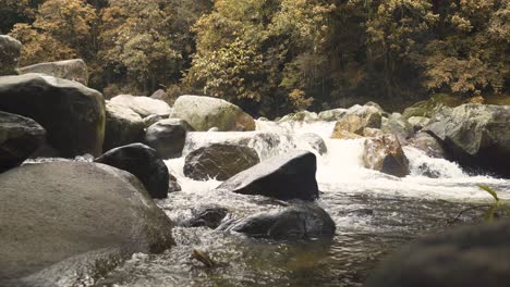 relaxing river stream in a tropical forest