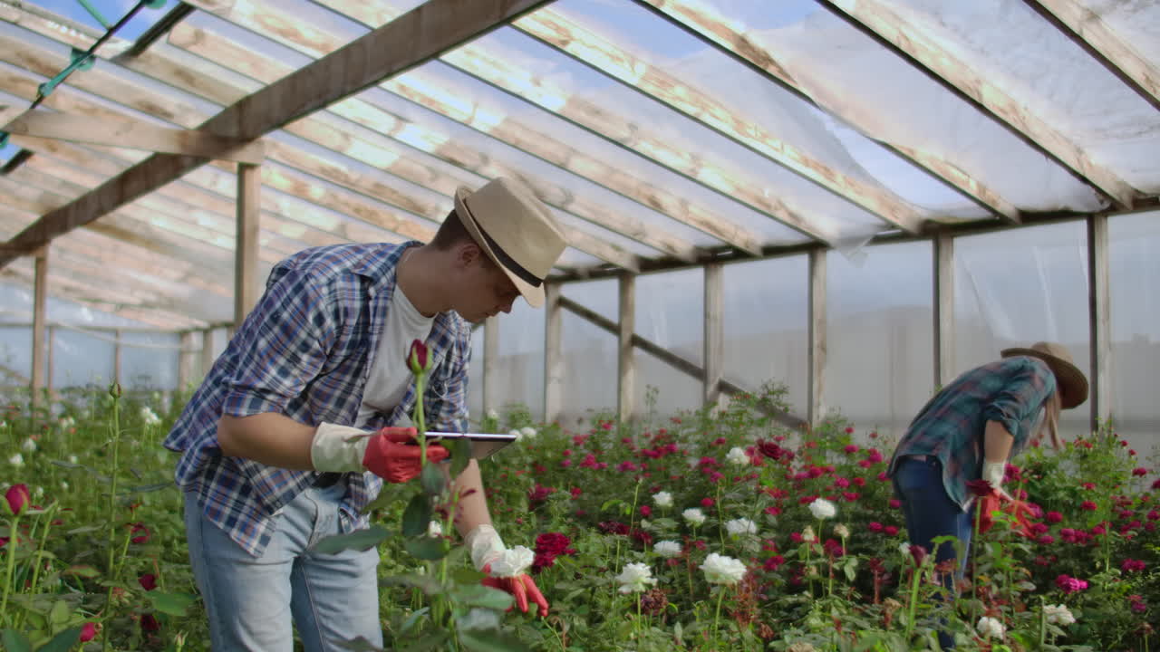 Moderna piccola attività di floricoltura. Colleghi fioristi lavorano insieme con tablet in una serra. Due moderni giardinieri ispezionano insieme i boccioli dei fiori.