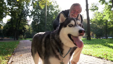 o dono do animal de estimação com o seu cão