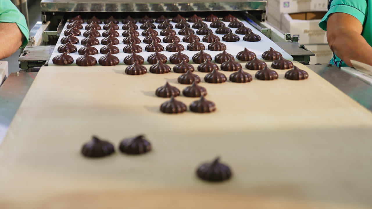 Packing the freshly-made marshmallow sweets. Hands of confectionery employees take away the candies from conveyor belt. Blurred backdrop.