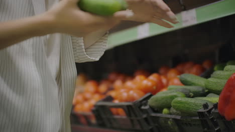 girl woman in supermarket buys vegetables. woman chooses cucumbers. woman's hands taking red tomatoes in supermarket. close up selection choosing cucumbers vegetable. health shopping bask.