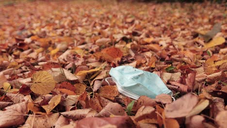 Single-use-coronavirus-face-mask-lies-discarded-among-autumn-leaves