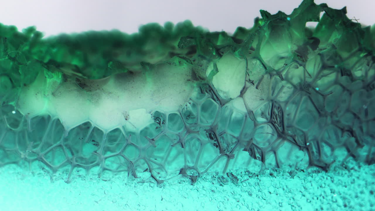 Close-up view of a vibrant green and teal-colored cellular structure