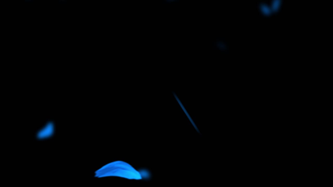 Abstract blue petals or particles gently fly and float from left to right on a black background. For technology or fantasy themes. Seamless loop