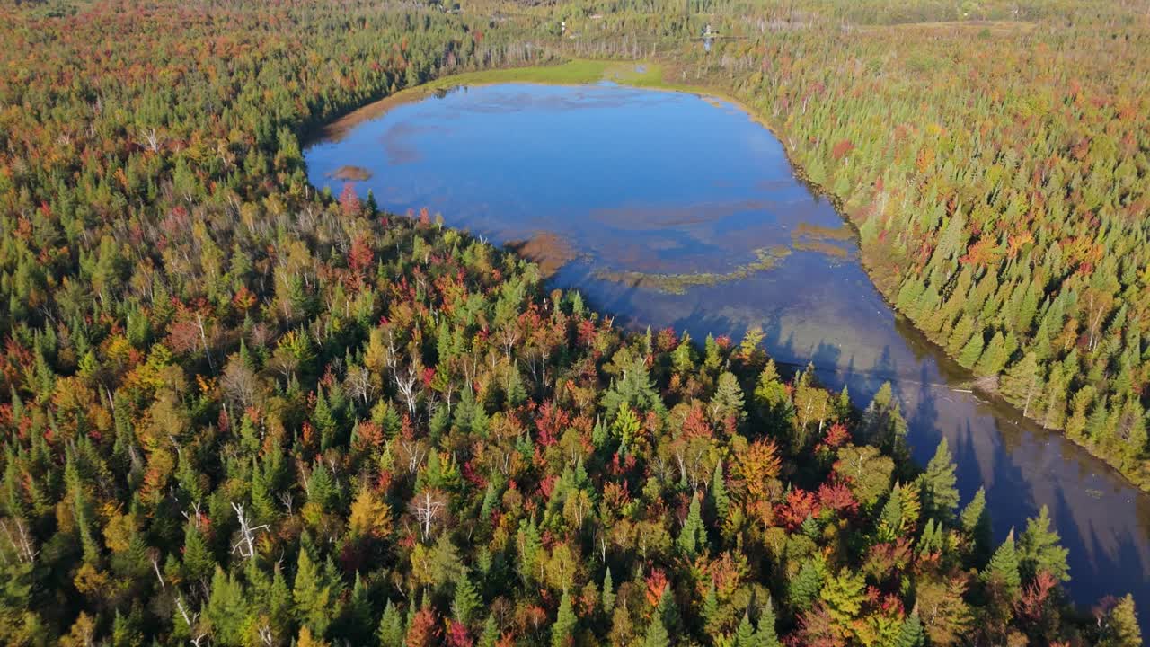 Drone push-in toward water drop-shaped lake surrounded by autumn pine forest in Ontario