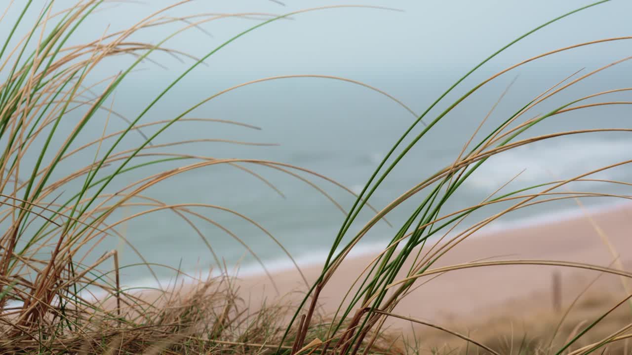 Panoramic view spanning from the ocean on the left, across an empty sandy beach, to the rolling dunes on the right, capturing the diverse coastal landscape at sylt in winter