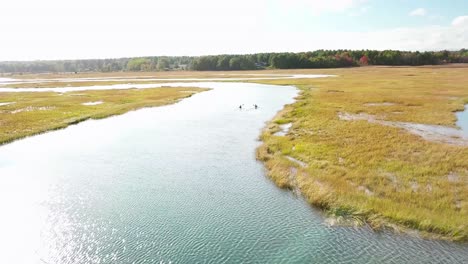 aerial over kayakers rowing through vast bogs along the nonesuch river near portland maine new england 2