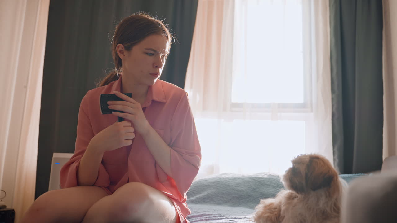 Gentle Pet Grooming, Woman Tenderly Brushes Small Dog, Soft Lighting Highlights Caring Interaction Between Owner And Animal, Warm Scene Of Woman Grooming Her Tiny Dog In Cozy Home Environment