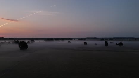 misty landscape with trees and a colorful sky at dawn or dusk