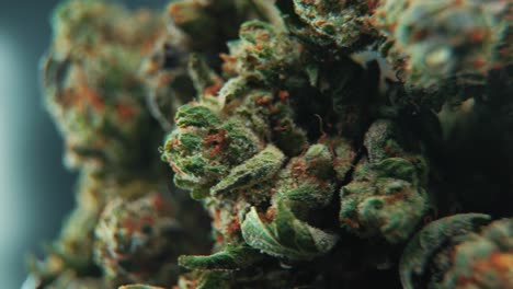 A-macro-cinematic-detailed-shot-of-a-cannabis-plant,-orange-hybrid-strains,-Indica-and-sativa,-green-marijuana-flower-in-a-Lab,-on-a-rotating-stand,-slow-motion,-4K,-professional-studio-lighting,-DOP