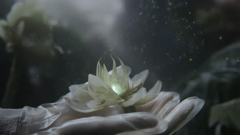 A mystical flower bud opening in gloved hands