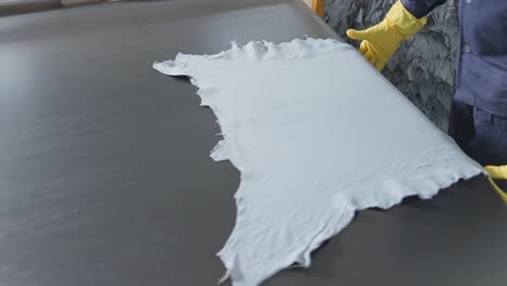 leather processing and manufacturing in a tannery