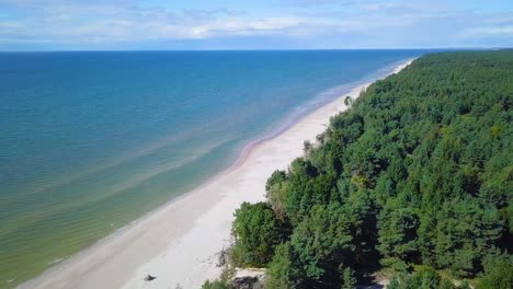 aerial panoramic view of baltic sea coast on a sunny day, white sand dunes damaged by waves, broken pine trees, coastal erosion, climate changes, wide angle drone shot moving forward