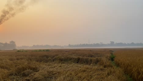 Toma-De-Establecimiento-De-Un-Vasto-Campo-De-Arrozales,-Pan-Revela-Una-Planta-De-Gas-Contaminante