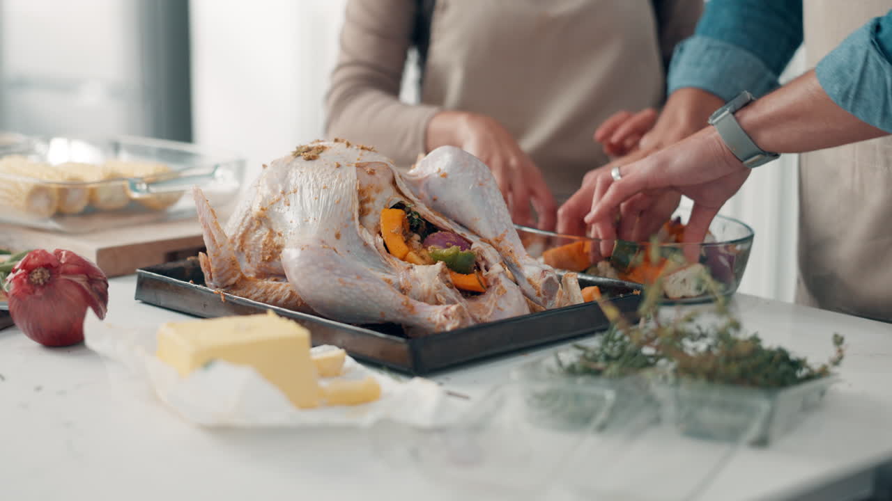 Preparing Thanksgiving Turkey with Vegetables