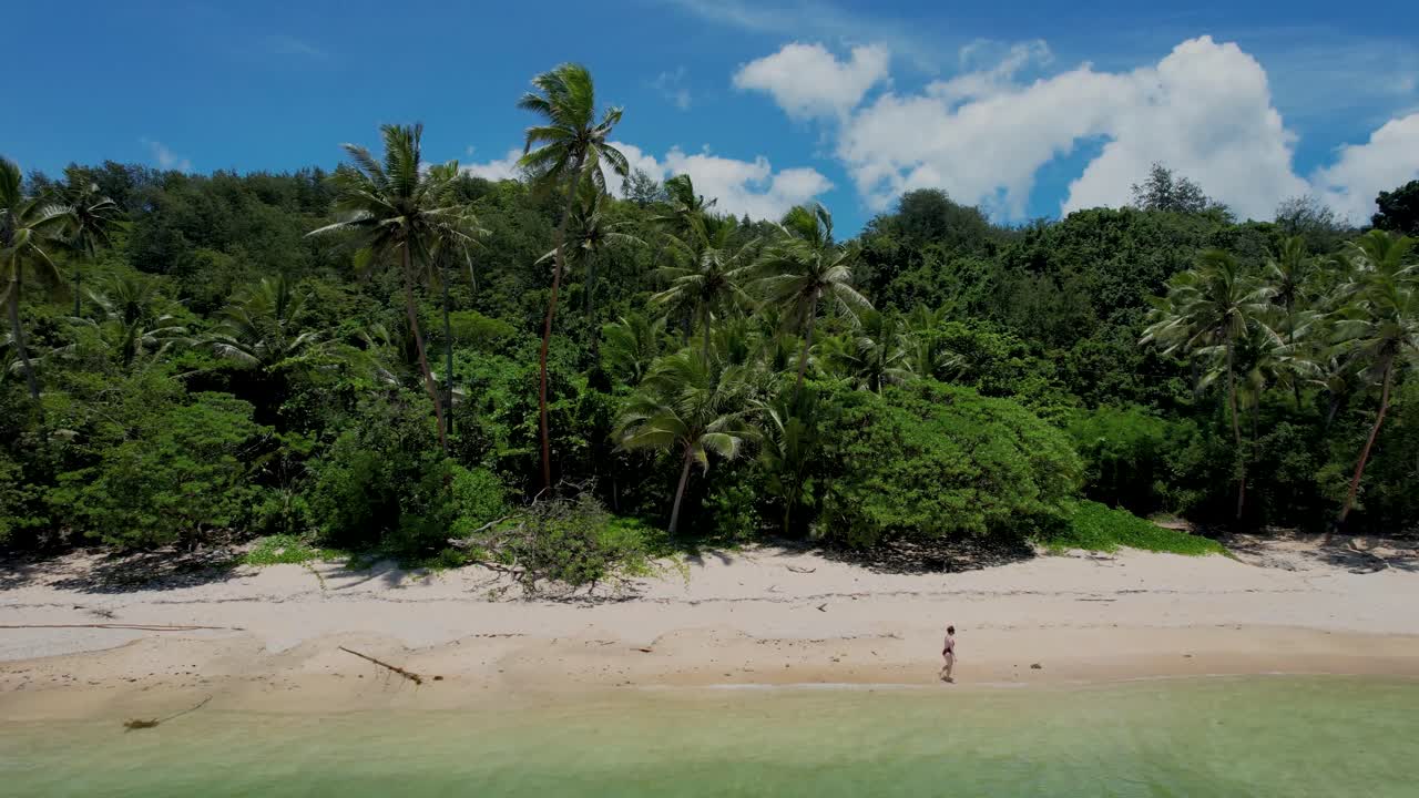 Tropical beach with palm trees, sand, clear water and woman walking on coastline- aerial pull back