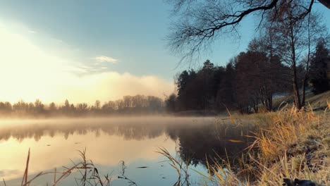 autumn frosty morning