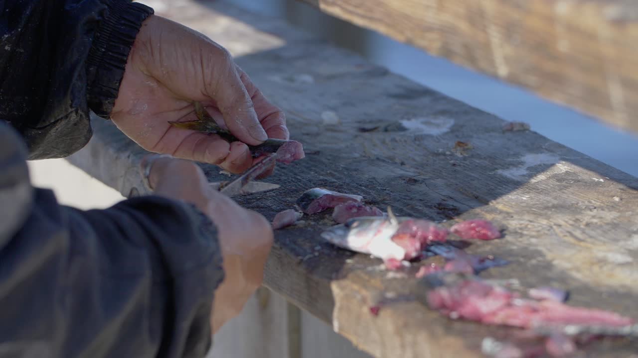 손 절단 물고기 미끼 cu